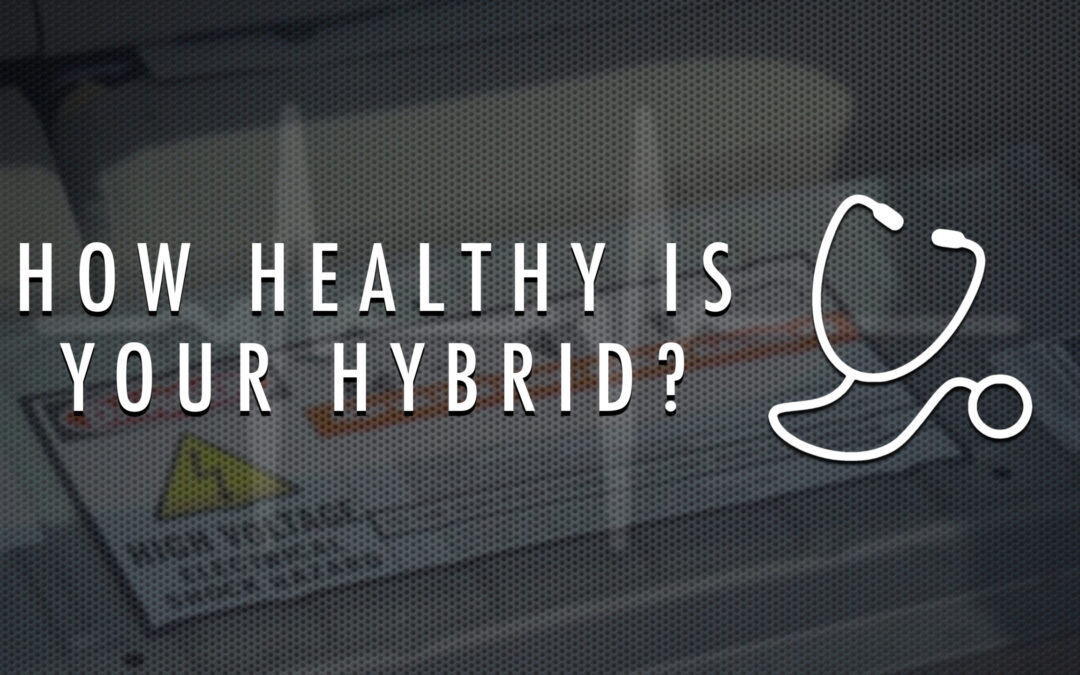 How Healthy is Your Hybrid Battery?