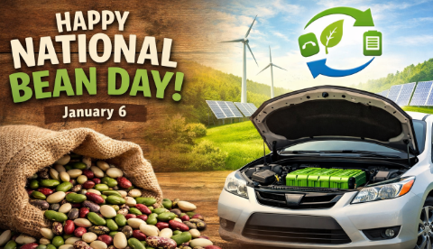National Bean Day