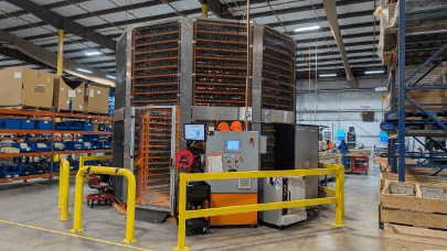 green bean battery plant picture